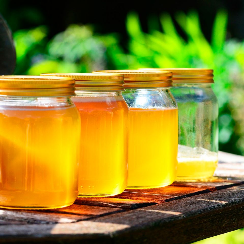 Guatemalan Polyflora Honey