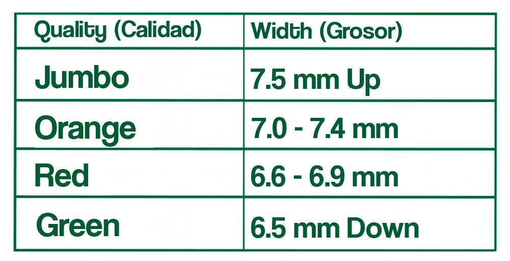 GREEN PODS  GREEN PODS: (GRANO VERDE PRIMERAS).