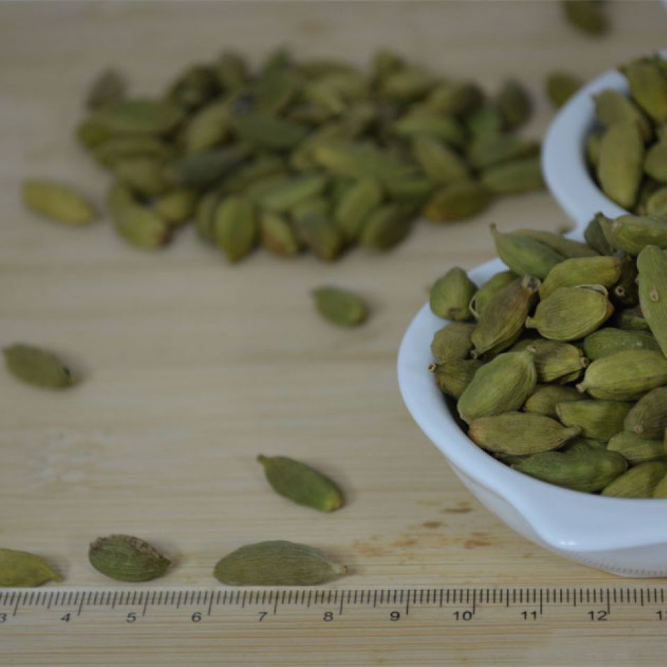 GREEN PODS Jumbo