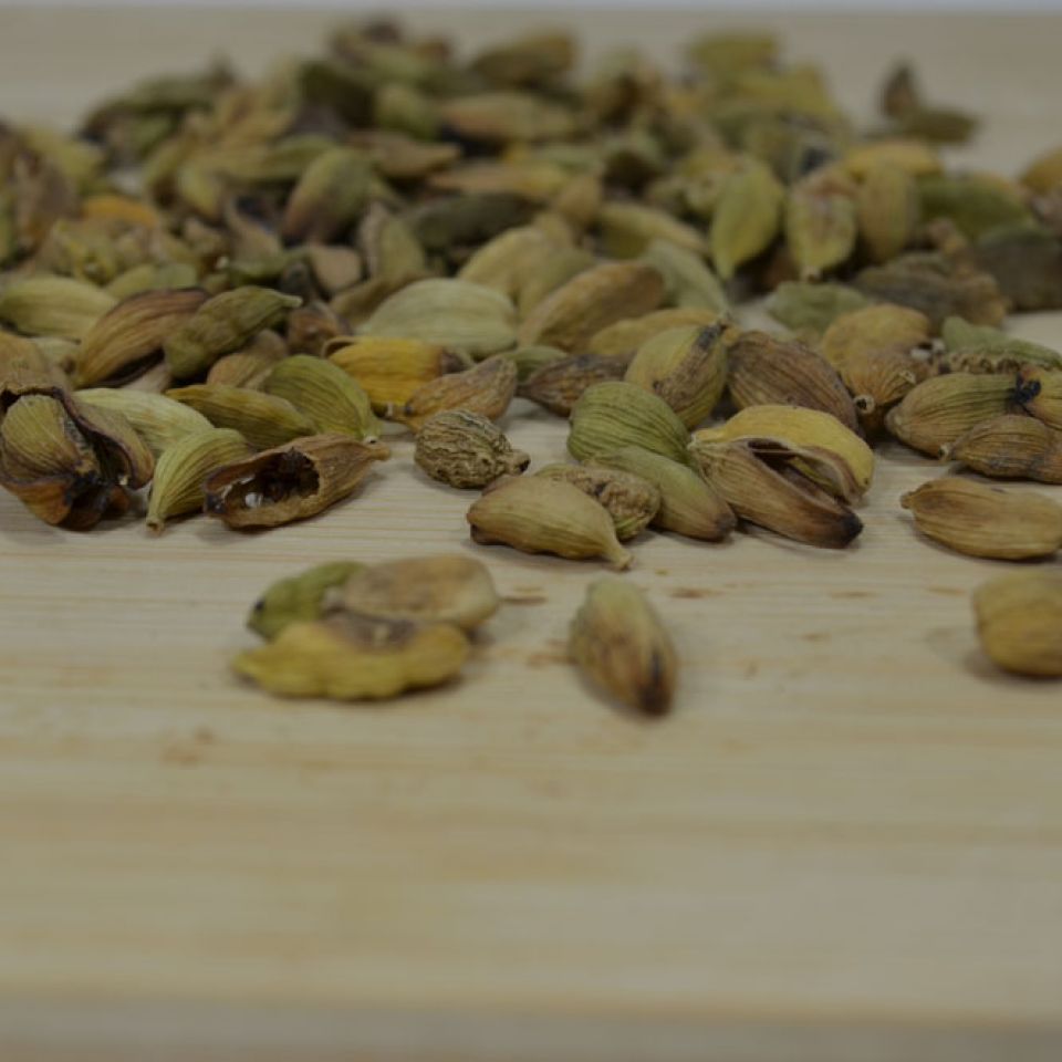 GREEN PODS MYQ ( 3ra.)