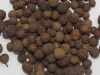 Allspice Pimento