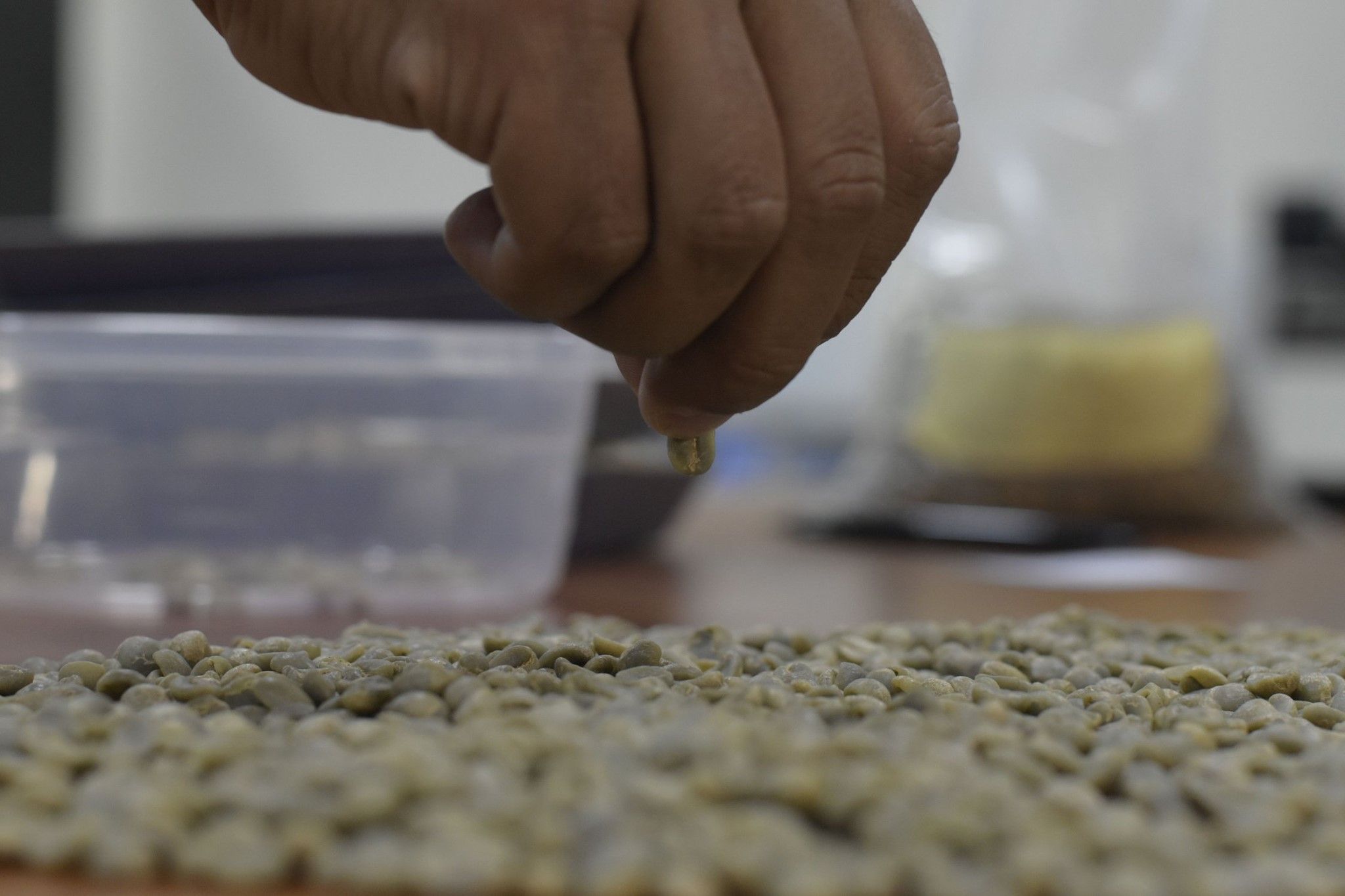 COFFEE Agroprodusct Dinámica S. A.