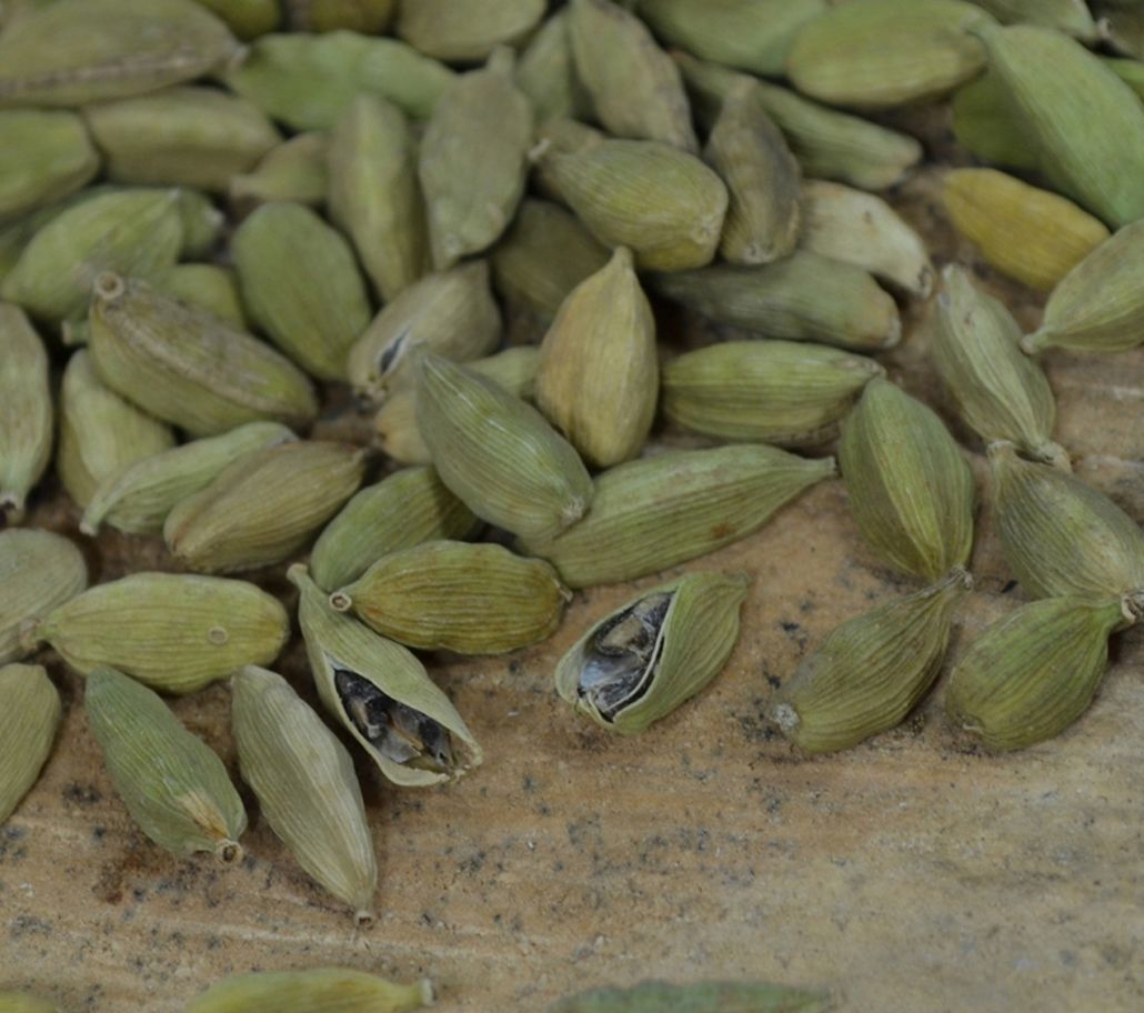 Cardamom